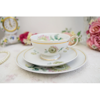 Vintage porcelain tea cup trio Bavaria Tirschenreuth